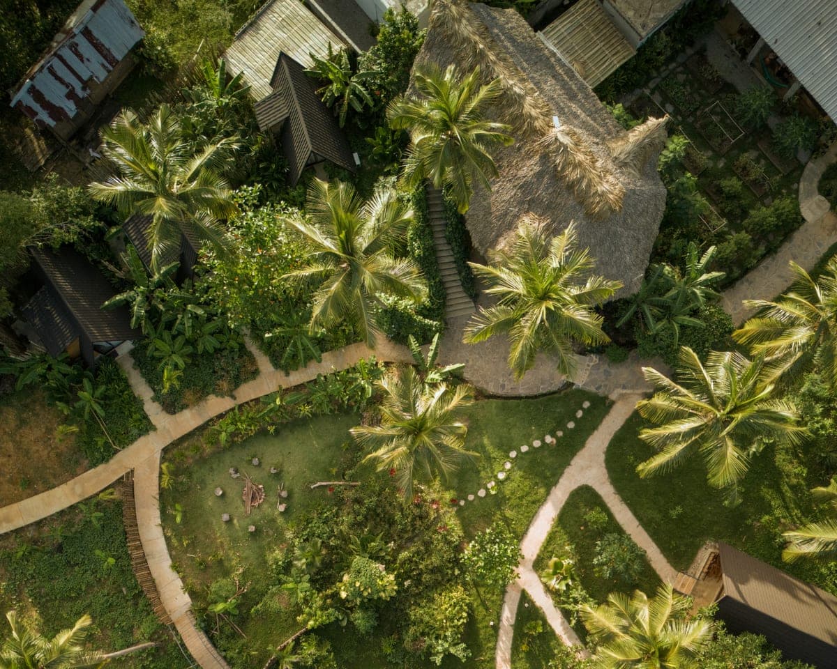 Leisy's Garden