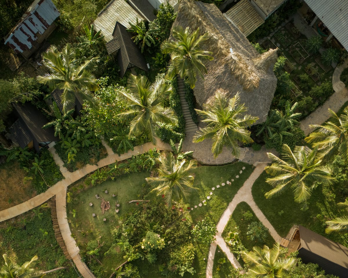 Leisy's Garden